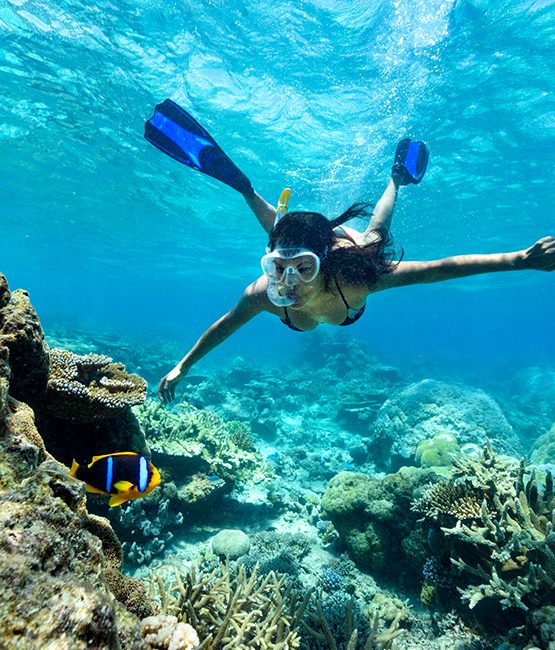 Chumbe Island Coral Tour