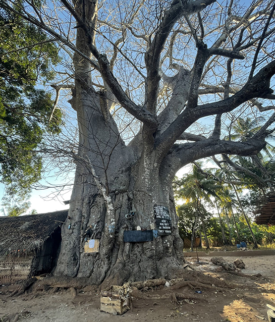Mtende Cultural Experience