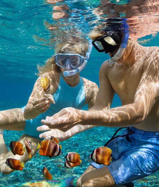 Snorkeling At Mnemba Atoll