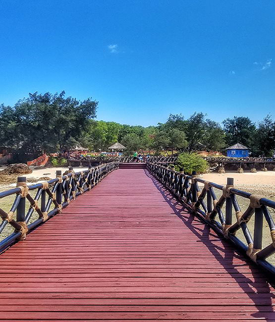 Tumbatu Cultural Village Tour