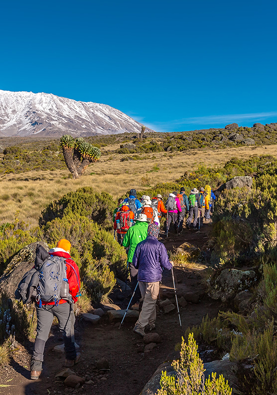 7 Days Climbing Mount Kilimanjaro on the Rongai Route