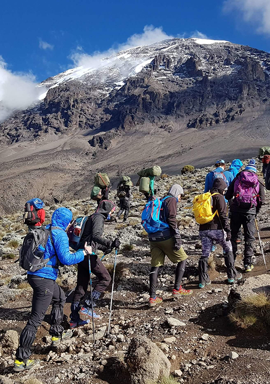 7 Days Climbing Mount Kilimanjaro on the Lemosho Route