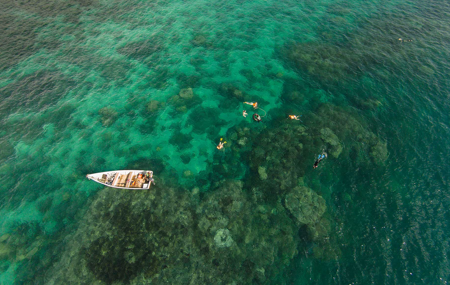 Chumbe Island Coral Tour