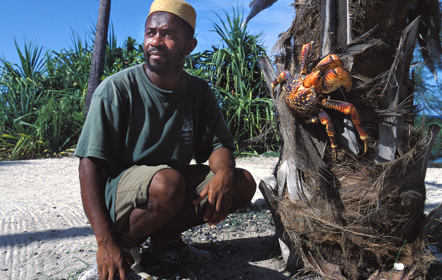 Chumbe Island Coral Tour