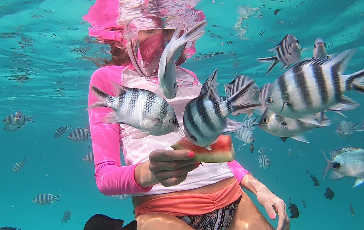 Snorkeling at Mnemba Atoll