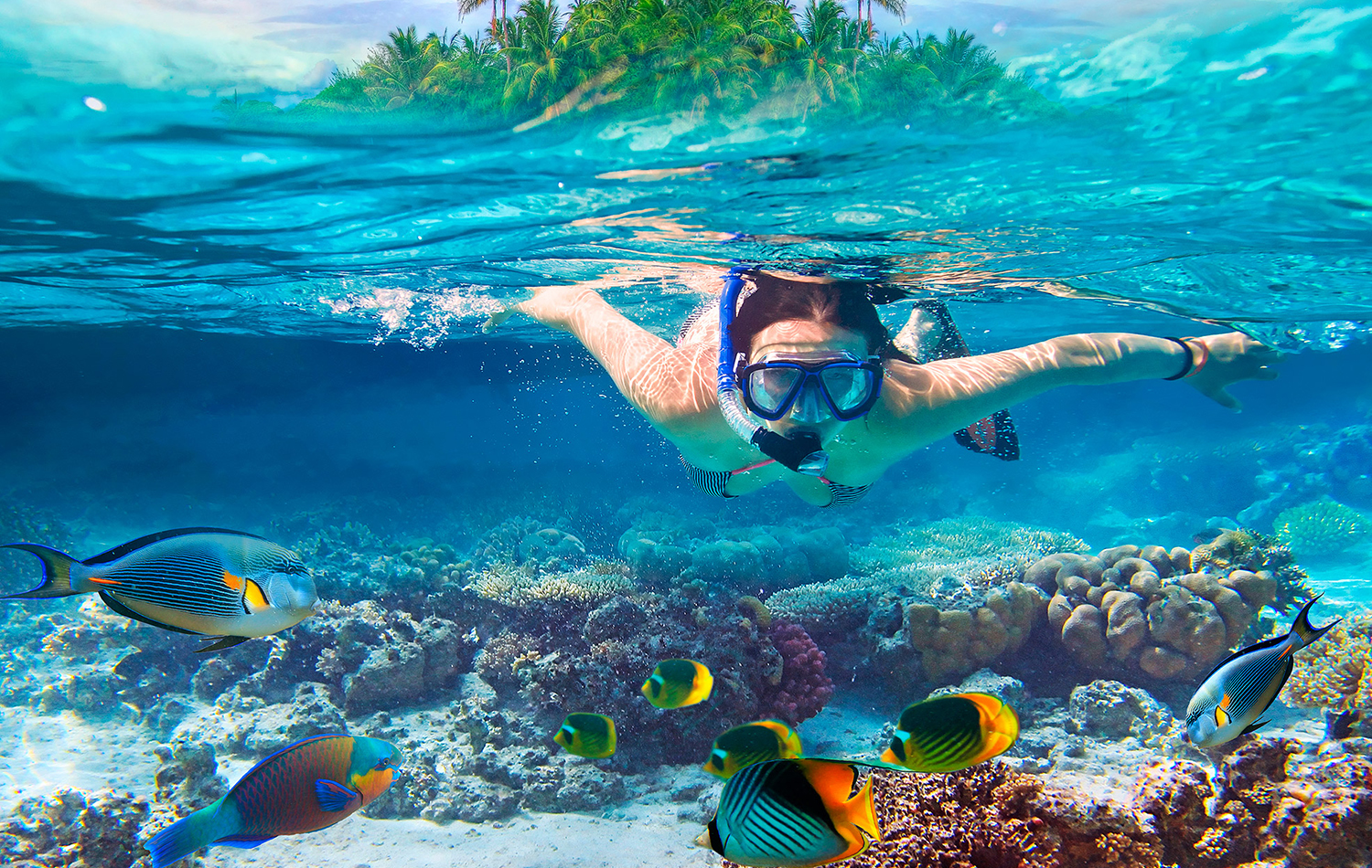 Snorkeling at Mnemba Atoll