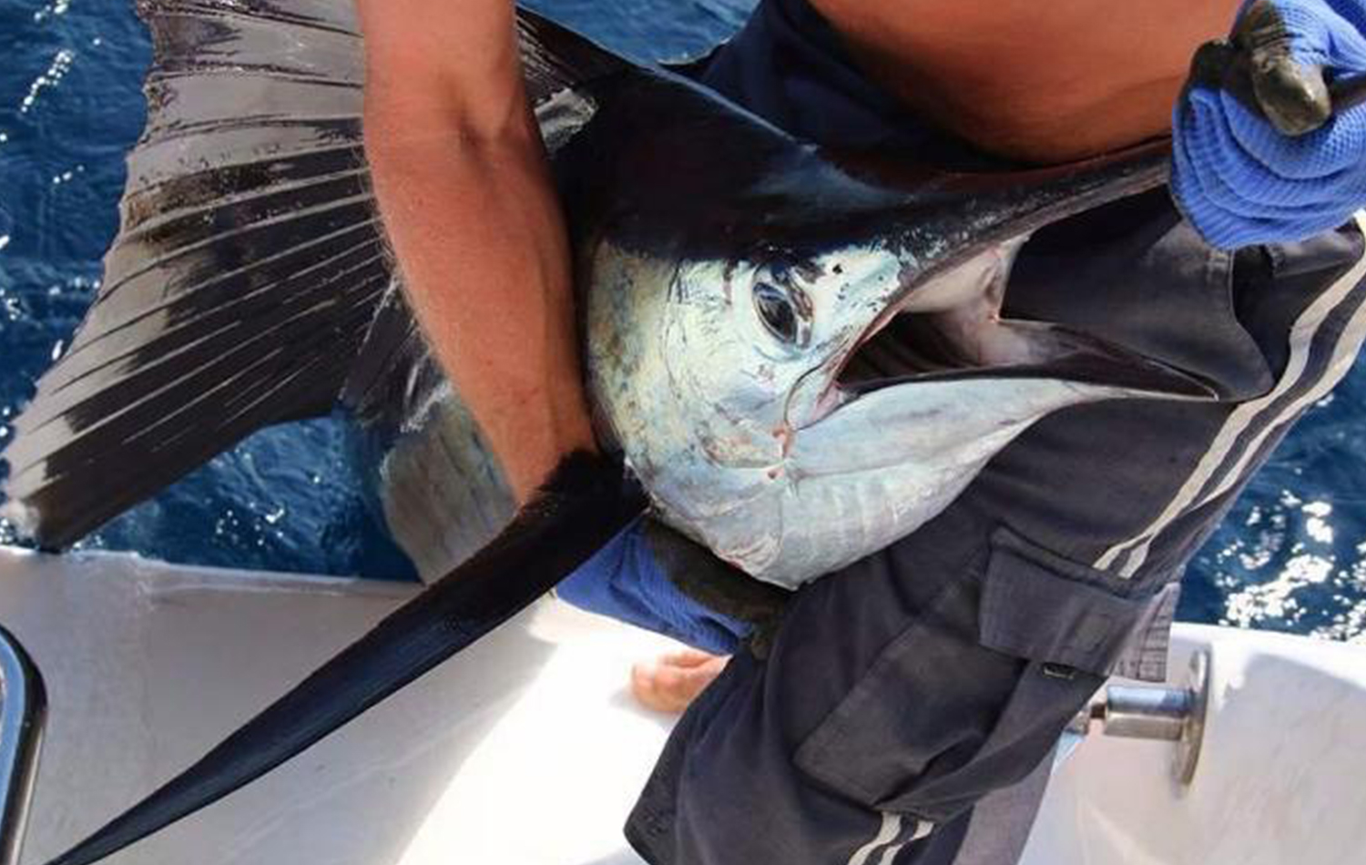 Deep Sea Fishing in Nungwi