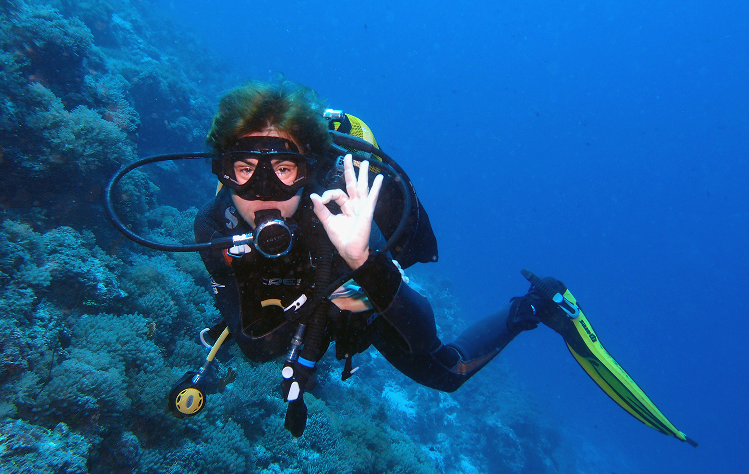 Diving Experience in Zanzibar