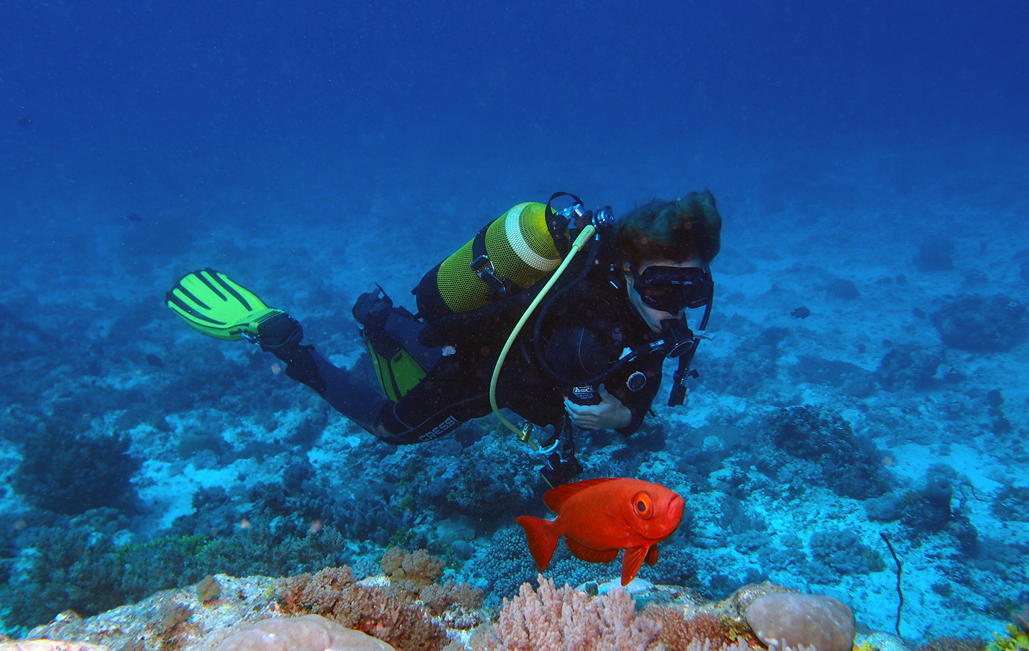 Diving Experience in Zanzibar