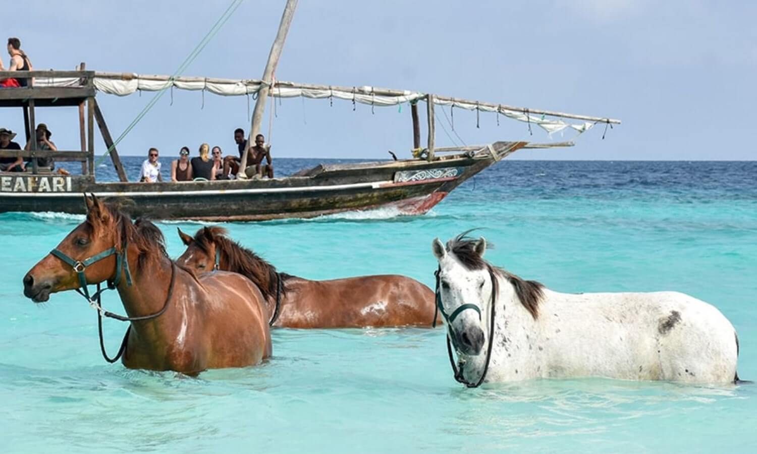 HorseBack Riding in Nungwi